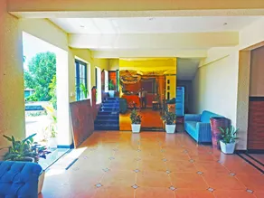 Kamath's Yellow Sapphire - Image 4