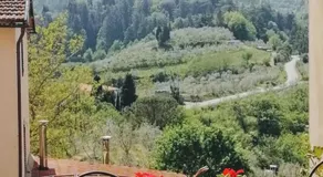 Il ghiro - Image 4