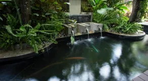 Third Rock Hostel - Image 2