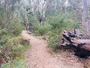 Yanchep Inn - Image 2