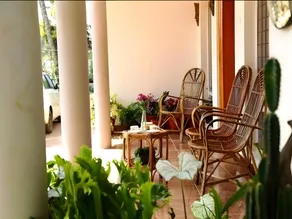 Mistygreen Homestay Thekkady - Image 5