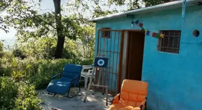 Farm Zeko - Image 3