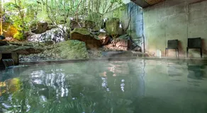 Yatsugatake Kogen Resort - Image 2