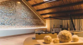 Il Limoneto Rooms - Image 5