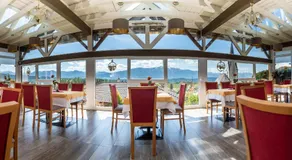 Hotel-Café-Restaurant Matzelsdorfer Hof - Image 3