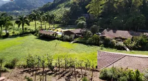 Solo Sagrado - Image 4