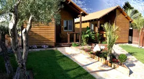 Good Zimmer With Love - Image 5