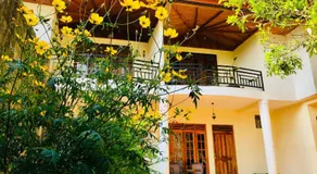 Hotel mango tree nearest Adam's peak - Image 2
