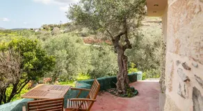 Oliva Mare II - Image 4