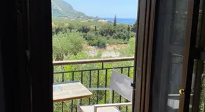 To Palio - Image 4