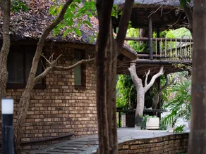 Kruger Eden Lodge - Image 4
