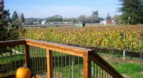 Pearlessence Vineyard Inn - Image 4