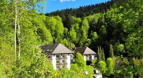 Ferienwohnung in Triberg am Waldrand - idyllisch, ruhig, erholsam - Image 5