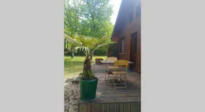 Chalet en forêt, brame du cerf - Image 3