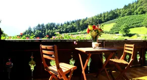 Tannerhof Bed & Breakfast - Image 3