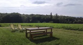 Fleur Du Soleil - Image 5