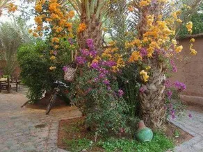 Dar Nakhla - Guest House In Zagora - Restaurant & Desert Excursions - Image 3