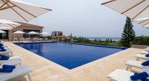 ALLAMANDA Splendid - Image 4