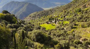 Casa Limón - Alpujarras - Image 4