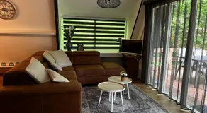 Bois d' Azur - Image 5