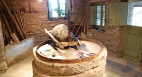 Cyclades Olive Museum's Guest House - Image 3
