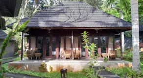 Kasuari Valley Beach Resort - Image 4