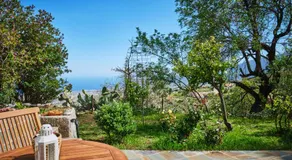 Tizziri rural - Image 4