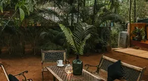 Namaste Jungle - A Boutique Homestay - Image 3
