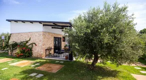 Agriturismo Gallo Fino - Capo Vaticano - Image 5