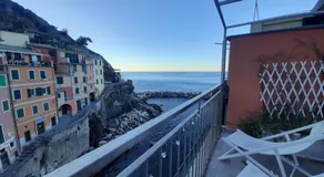 Pepita di Rio - Image 3