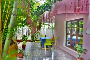 Dolphin Resort - Image 3