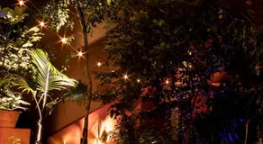 The Red Tree House - Image 2