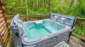 Blue Rose Cabins - Wildwoods Cabin - Image 2