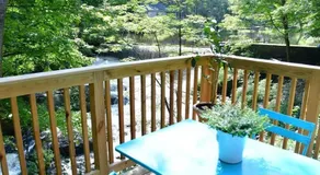 Cottage at Millpond Falls - A Romantic Escape - Image 3