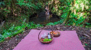 Boskoso Forest Retreat Jacuzzi & Waterfall - Image 5