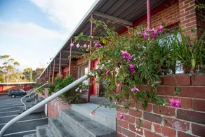 City View Motel - Image 5