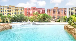 Amer group - Image 2