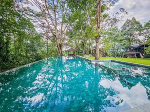 Templer Park Rainforest Retreat TPRR - Image 3