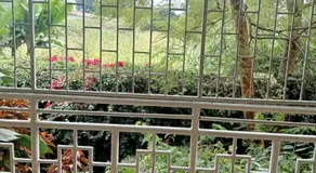 China Garden - Image 5