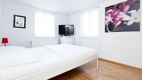 Swiss Star Guesthouse District 4 - Image 3