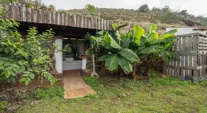 El Sueño de Mamá - Image 5