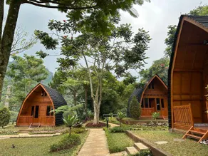 Camp de Katarina - Image 4