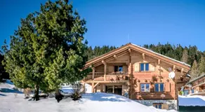 Slow Chalet Mont Real - Le Grand Bornand - 3km from slopes Chinaillon - Image 5