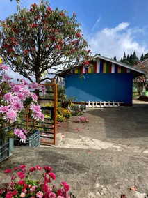 Oyo 65789 Lali Gurash Homestay - Image 3