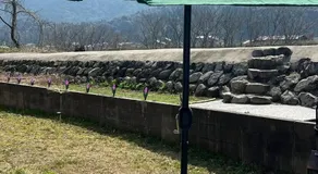 鹿野寒舍館 - Image 4