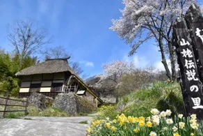 Yakimochiya - Image 4