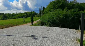 Dolce Bosco - Image 5