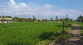 Trinadhi Homestay - Image 4