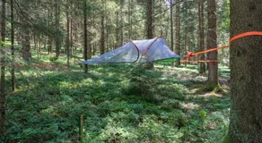 Baumzelt im Wald - Image 2