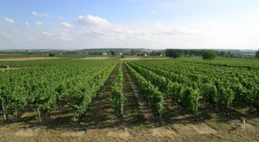 Landreau - Image 5